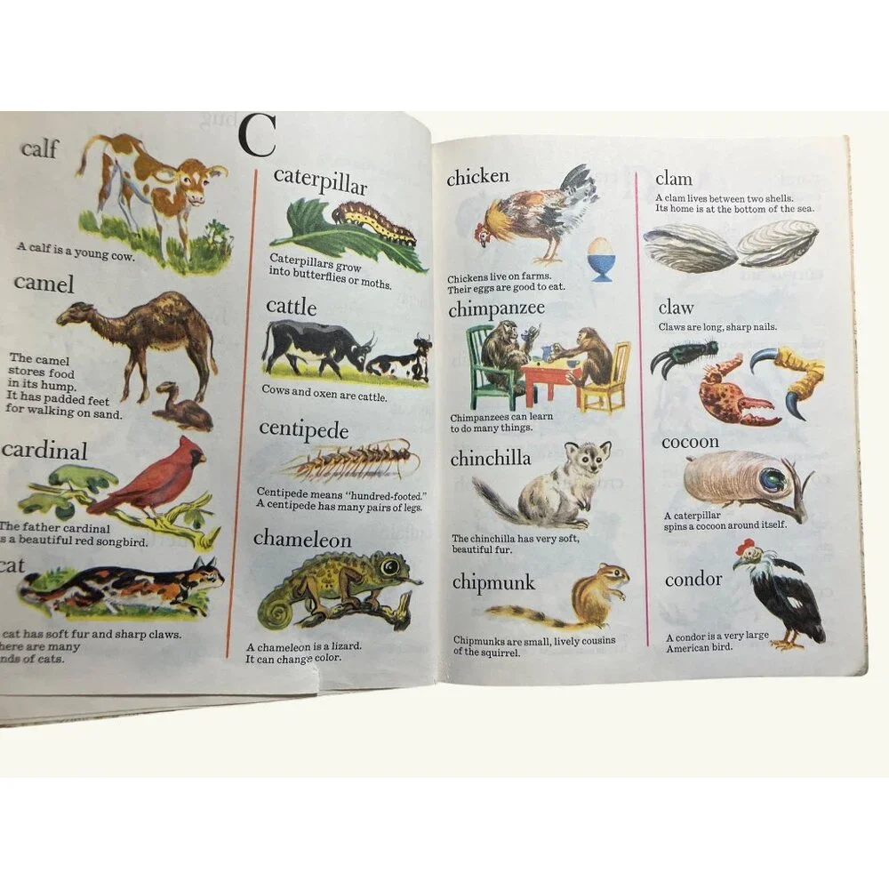 Little Golden Book Vintage Animal Dictionary Illustrated Children's Book